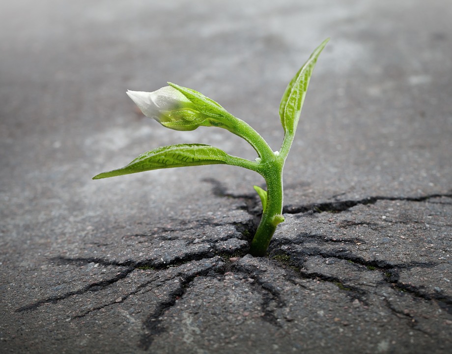Resilienza psicologica